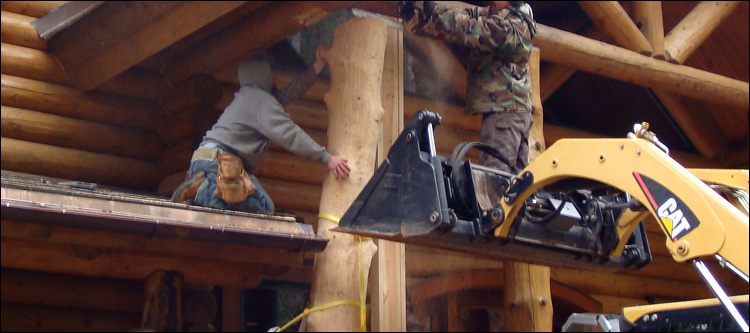 Log Home Log Replacement  Traphill,  North Carolina